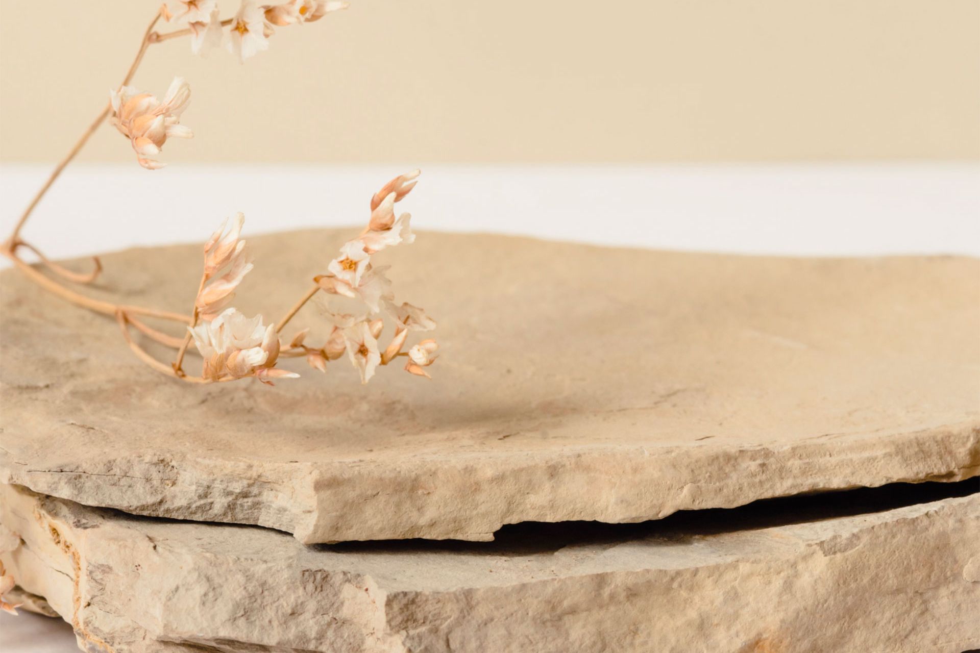 Ekoreka centro estética